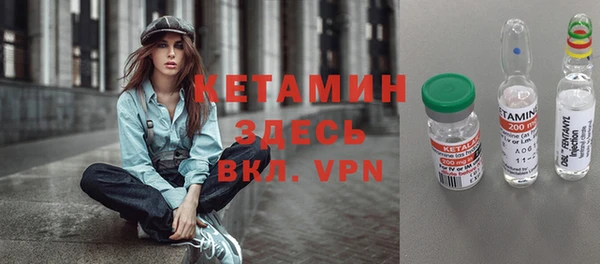 сатива Беломорск