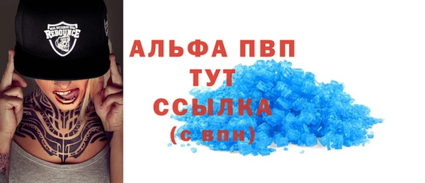 сатива Беломорск