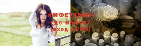 сатива Беломорск