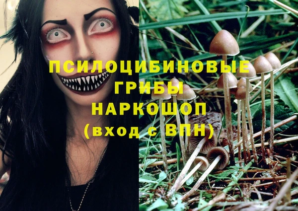 бошки Белоозёрский