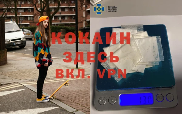 сатива Беломорск