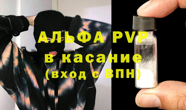 сатива Беломорск