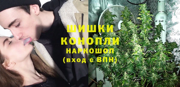 сатива Беломорск