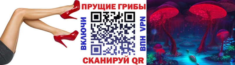 продажа наркотиков  Валуйки  Псилоцибиновые грибы Cubensis 